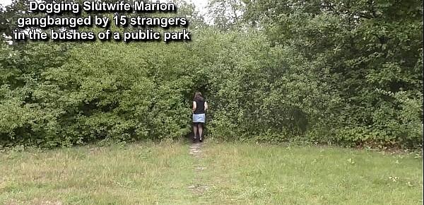  Marion fucked by 15 strangers in the park